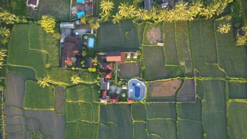 Tetebatu House | Explore Pondok Indah Bungalows Tetebatu with Ocean Views