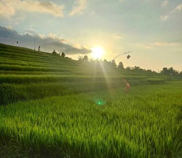 Sukasada House | Pondok Pengaringan Loon