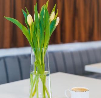 Giurgiu Boat Rental | Discover Pontonul de pe Dunăre Giurgiu - Family-Friendly Stay