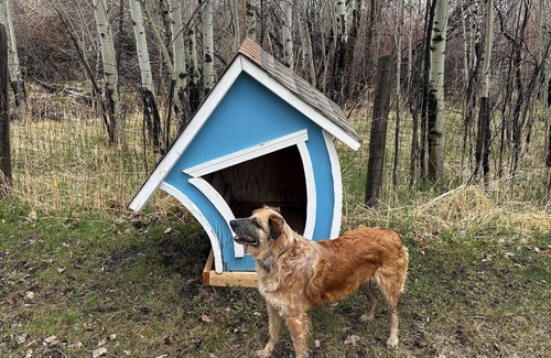 Pony Cabin | Experience Glamping by the Creek in Pony, MT - Rated 10/10
