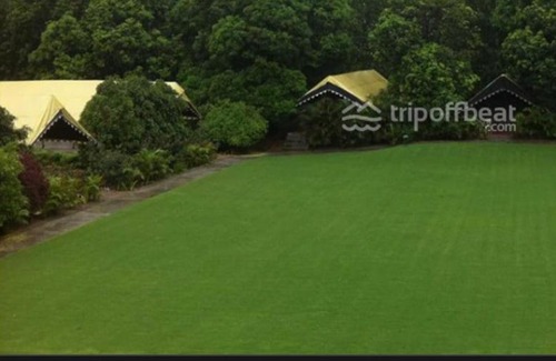 Dasua Hotel | Budget-Friendly Stay at POP Jungle Farm with Breakfast