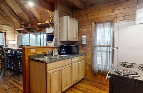 Townsend Cabin | Cozy 2 Bedroom Cabin with Spa and Pet-Friendly Perks