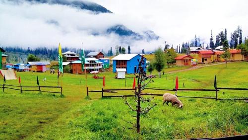 Arang Kel House | Family-Friendly Stays at Popeyes Guest House Await You