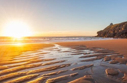 Tresowes House | Discover Pet-Friendly Comfort at Poppyfields Hotel