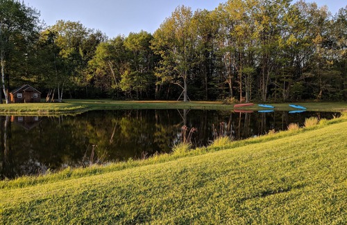 Savona Cabin | Unforgettable Poppy's Cabin on Pond in Finger Lakes