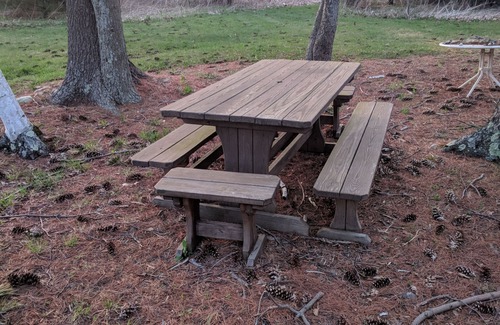 Savona Cabin | Unforgettable Poppy's Cabin on Pond in Finger Lakes
