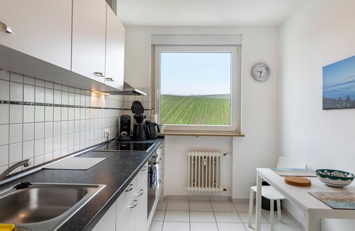 Meersburg Condo | Guest Rated: 9.8 Apartment with Lake & Mountain Views
