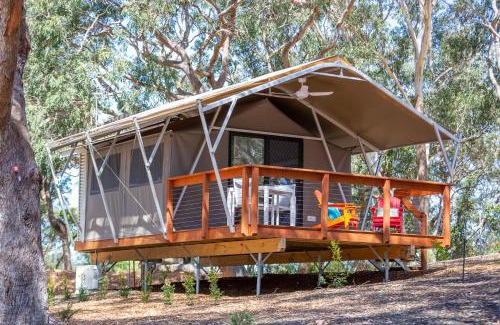 One Mile Resort | Discover Port Stephens Koala Sanctuary: 4-Star Family Retreat