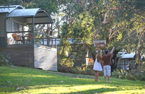 One Mile Resort | Discover Port Stephens Koala Sanctuary: 4-Star Family Retreat