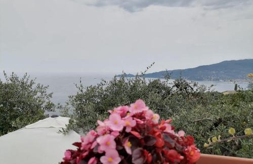 Zoagli Bed & Breakfast | Beautiful Portofino View with Oceanfront Pool Access