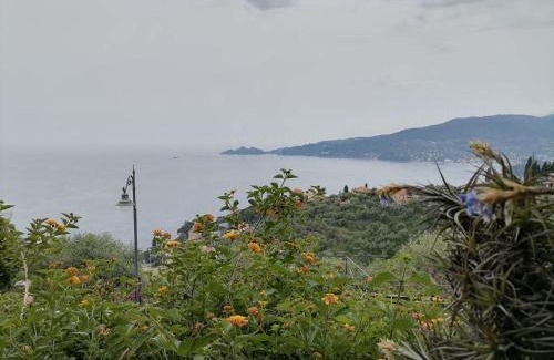 Zoagli Bed & Breakfast | Beautiful Portofino View with Oceanfront Pool Access