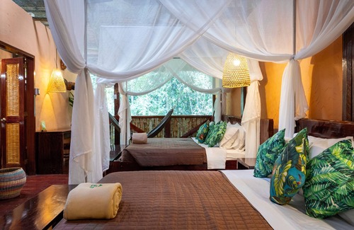 Tambopata Hotel | Experience Serenity at Posada Amazonas with Spa & Dining