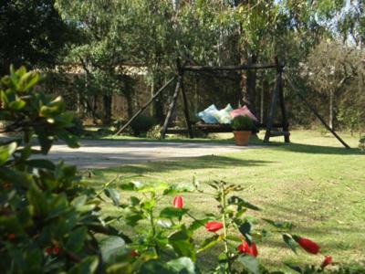 Rivera Hotel | Explore Posada del Bosque: Pet-Friendly Stay with Pool