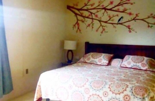 Xilitla Hotel | Experience Comfort at Posada James with Pool & Spa Access