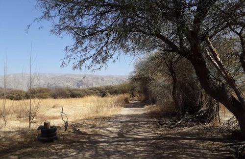 Santa Maria House | Discover Posada los Arboles: Pet-Friendly Retreat
