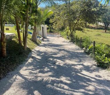 Matapalo House | Guest Rated 10/10 at Posada Miradia - Pet Friendly & Breakfast