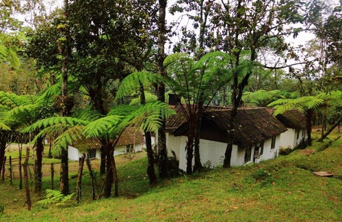 Purulha Hotel | Pet Friendly Posada Montaña del Quetzal with Ocean View