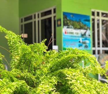 Punta Hansa Hotel | Guest Rated 10/10: Stay at Posada Nativa Bernard Place