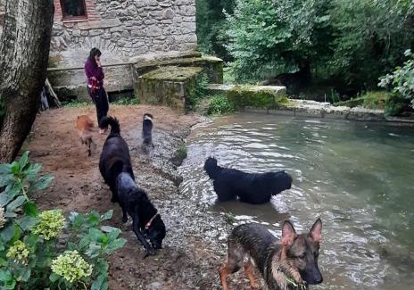 Entrambasaguas Hotel | Pet-Friendly Posada Pet Friendly El Molino de Cantabria