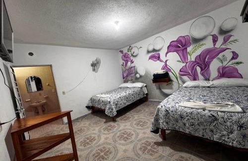 Xilitla Apartment | Budget-Friendly Stay at Posada TEO - Rated 8/10 by Guests