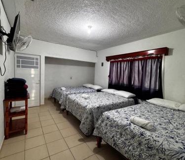 Xilitla Apartment | Budget-Friendly Stay at Posada TEO - Rated 8/10 by Guests