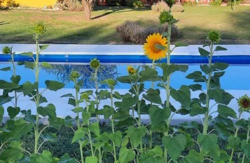 San Javier Hotel | Highly Rated Posada Villapancha B&B: Pool & Breakfast Await
