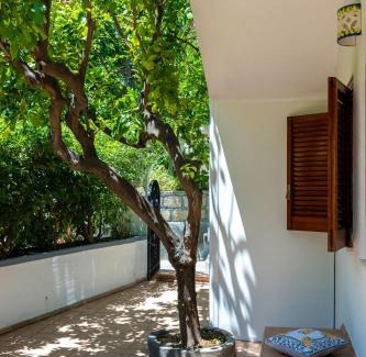 Positano Apartment | Positano Lemontree