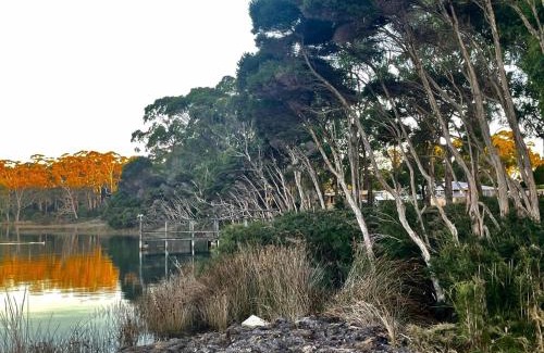 Hellyer House | Top-Rated Family Stay at Poss' Place: Child Friendly Comfort