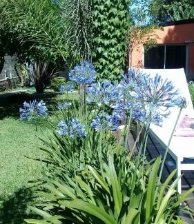 Parana Apartment | Oceanfront Escape at Posta Batata - Rated 9.3/10 by Guests