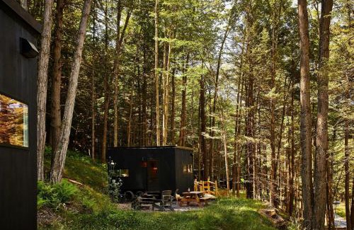 Pine River Other | Postcard Cabins Wild Rose, Outdoor Collection by Marriott Bonvoy