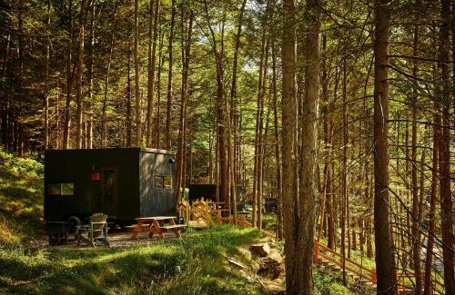 Pine River Other | Postcard Cabins Wild Rose, Outdoor Collection by Marriott Bonvoy