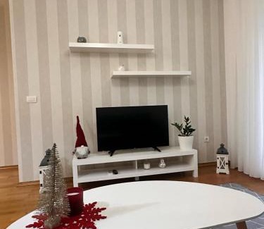 Skaljari Apartment | Posto Capitano apartment Sasa