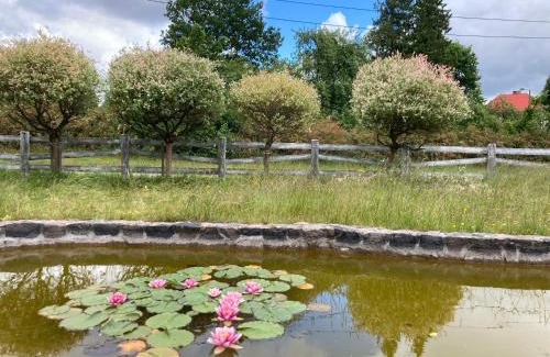 Linia House | Experience Potęgówka wege Kaszuby: Ocean Views & Pet-Friendly