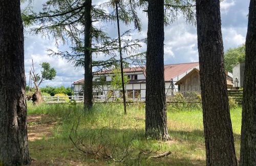Linia House | Experience Potęgówka wege Kaszuby: Ocean Views & Pet-Friendly