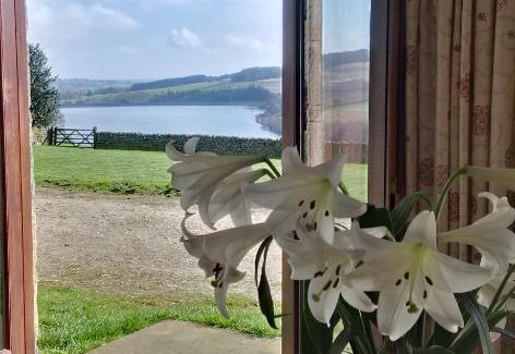 Lofthouse House | Family-Friendly Retreat at Pott Hall – Rated 9/10 by Guests