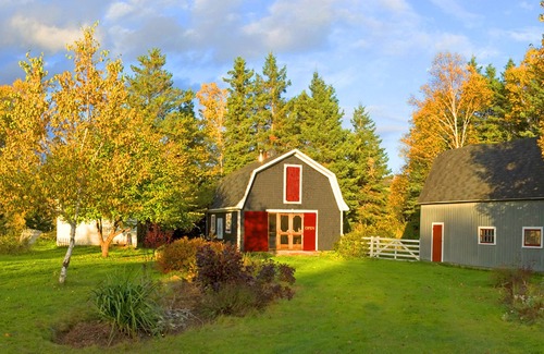 Margaree Valley Cottage | Discover Potter's Cottage in Beautiful Margaree Valley