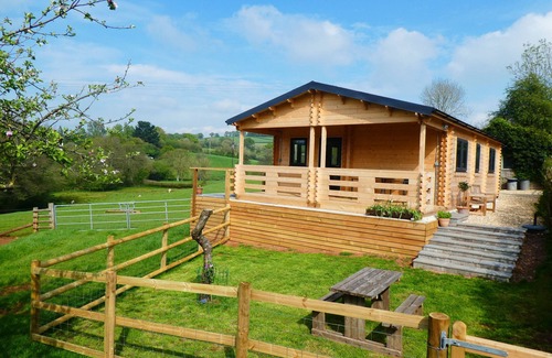 Butterleigh Cabin | Pet-Friendly Pound Farm Holidays with Ocean Views & Breakfast