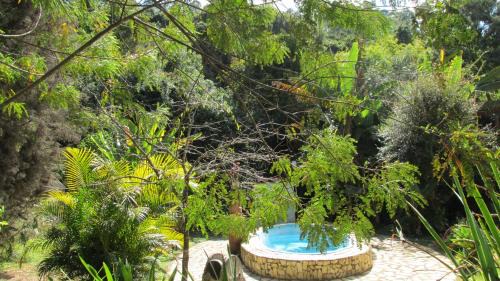 Aiuruoca Hotel | Idyllic Pousada Alquimia: Oceanfront Escape with Spa & Pool