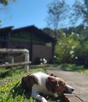 Eldorado Ski Chalet | Pet-Friendly Pousada Arapassu: Family Fun and Relaxation