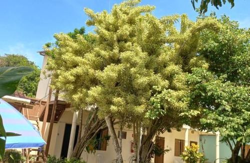 Itaunas Hotel | Discover Pousada Cajueiro: Top-Rated Ocean View Retreat