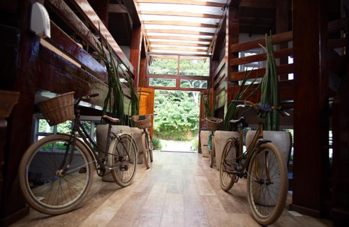 Camburi Hotel | Discover Pousada Camburizinho: Pet-Friendly Oceanfront Retreat