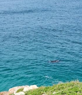 Arraial do Cabo Hotel | Oceanfront Escape at Pousada Canto da Baleia - 9/10 Rating