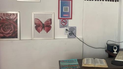 Praia de Iracema House | Pet-Friendly Pousada Carimbó with Oceanfront Views