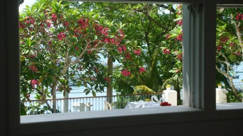 Humaita Hotel | Experience Oceanfront Serenity at Pousada Casa Búzios