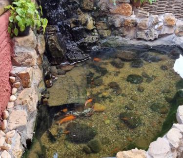Sao Miguel de Touros Hotel | Stay at Pousada Casa Típica: Ocean View & Pool Access