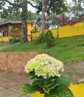 Lagoa Seca House | Exceptional Pousada Chácara Pau in Brasil - Pet Friendly Stay