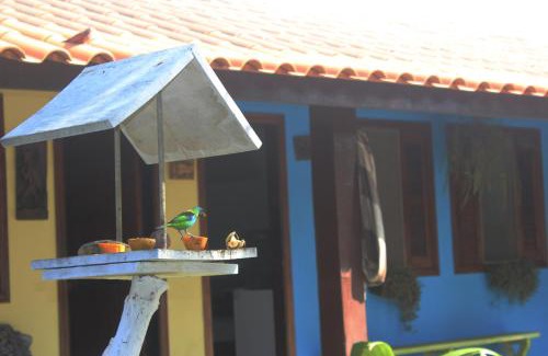 Jardim Samambaia Hotel | Cozy Pousada Chalé do Beija Flor with Ocean Views