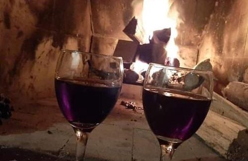 Pinhalzinho Hotel | Pet-Friendly Escape at Pousada Cheiro de Mato - Rated 9/10