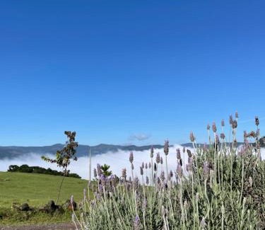 Urubici Ski Chalet | Oceanfront Retreat at Cabana Alpha - Guest Rated 9.9