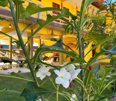 Itaunas Hotel | Discover Pousada Cordel de Itaúnas: Pet-Friendly Haven